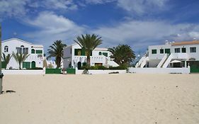 Loti Cotillo